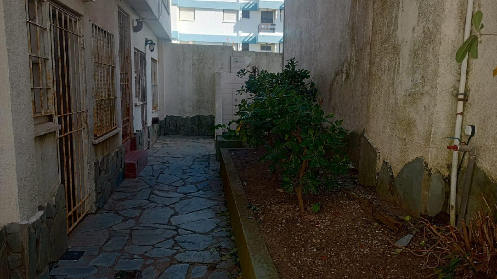 7. Departamento frente al mar - Edificio La Sirena
