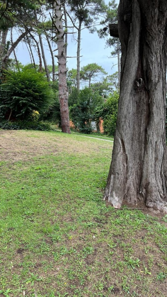 A LA VENTA CASA DE 4 AMBIENTES 