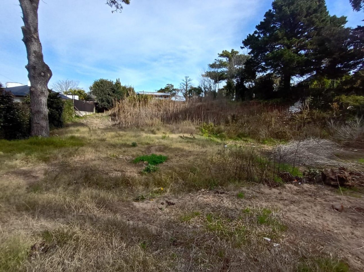 LOTE EN ZONA CONSOLIDADA