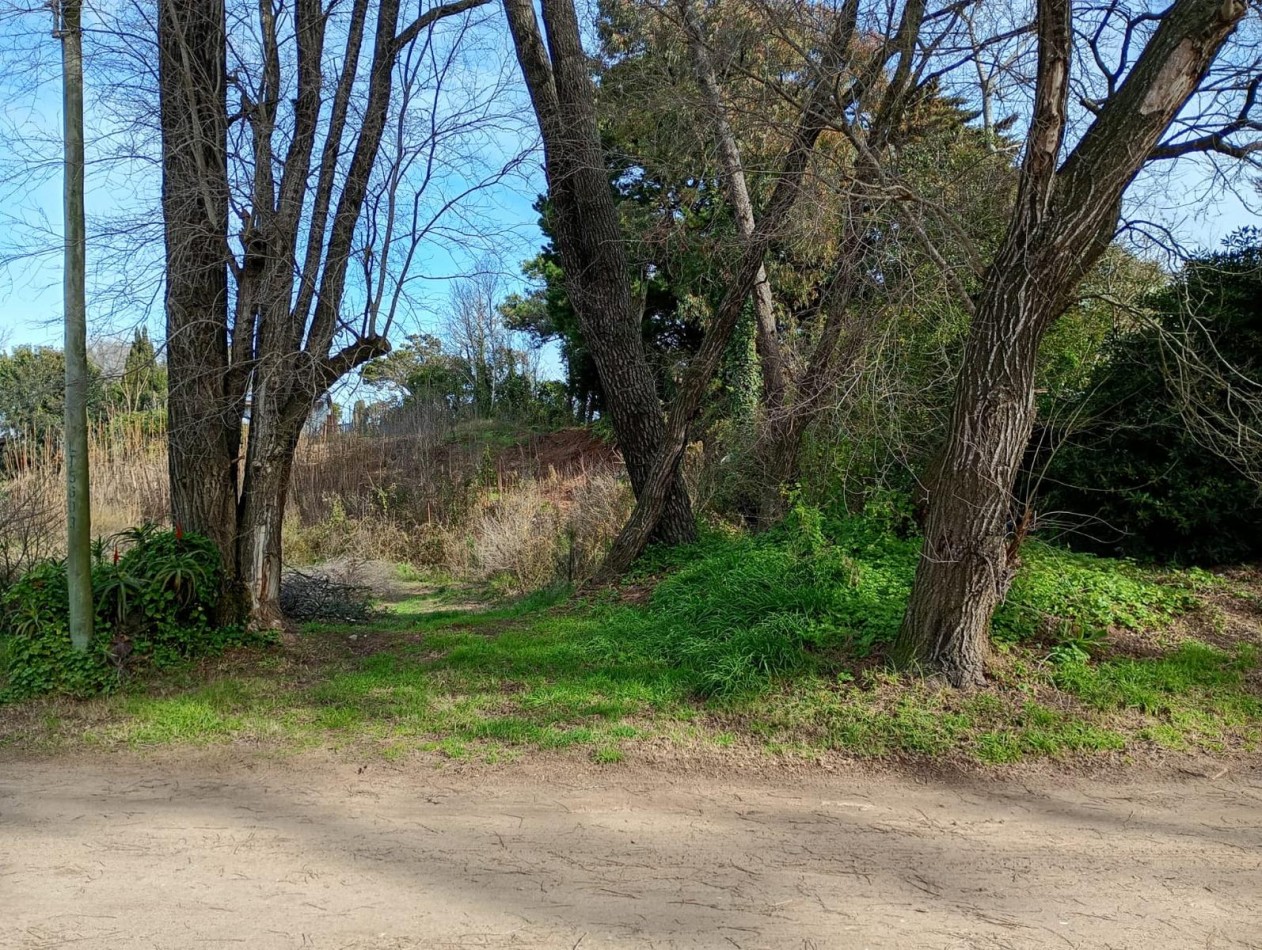 LOTE EN ZONA CONSOLIDADA